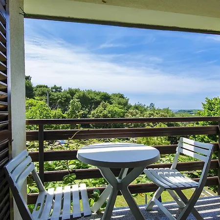 Josip Medulin
